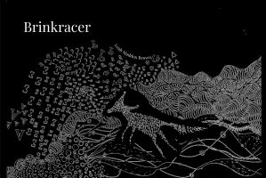 A hand-drawn illustration for a short weird fiction story titled Brinkracer by Leah Maddox Brown (2025). It is a drawing of a fox-like creature made of question marks. They are on a precipice looking back at the viewer. The cliff is made of weird, helix-like patterns with cell-like tendrils. Below is a sea of letters and symbols, that appear to be culminating in a whirlpool.